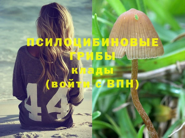 мет Армянск