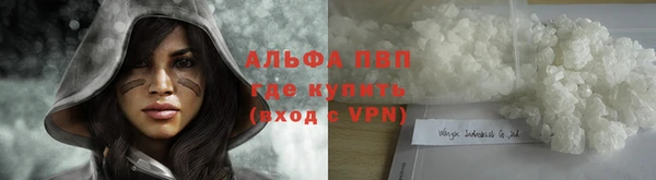 шишки Балабаново