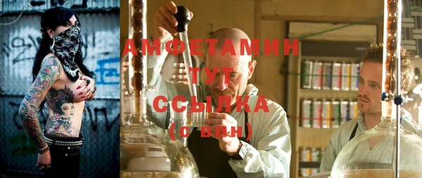 шишки Балабаново
