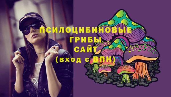 шишки Балабаново