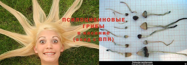 шишки Балабаново