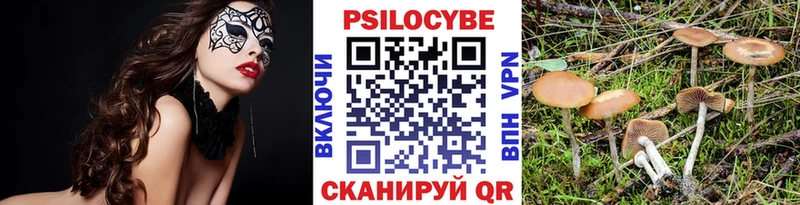 наркотики Северо-Курильск Галлюциногенные грибы Cubensis